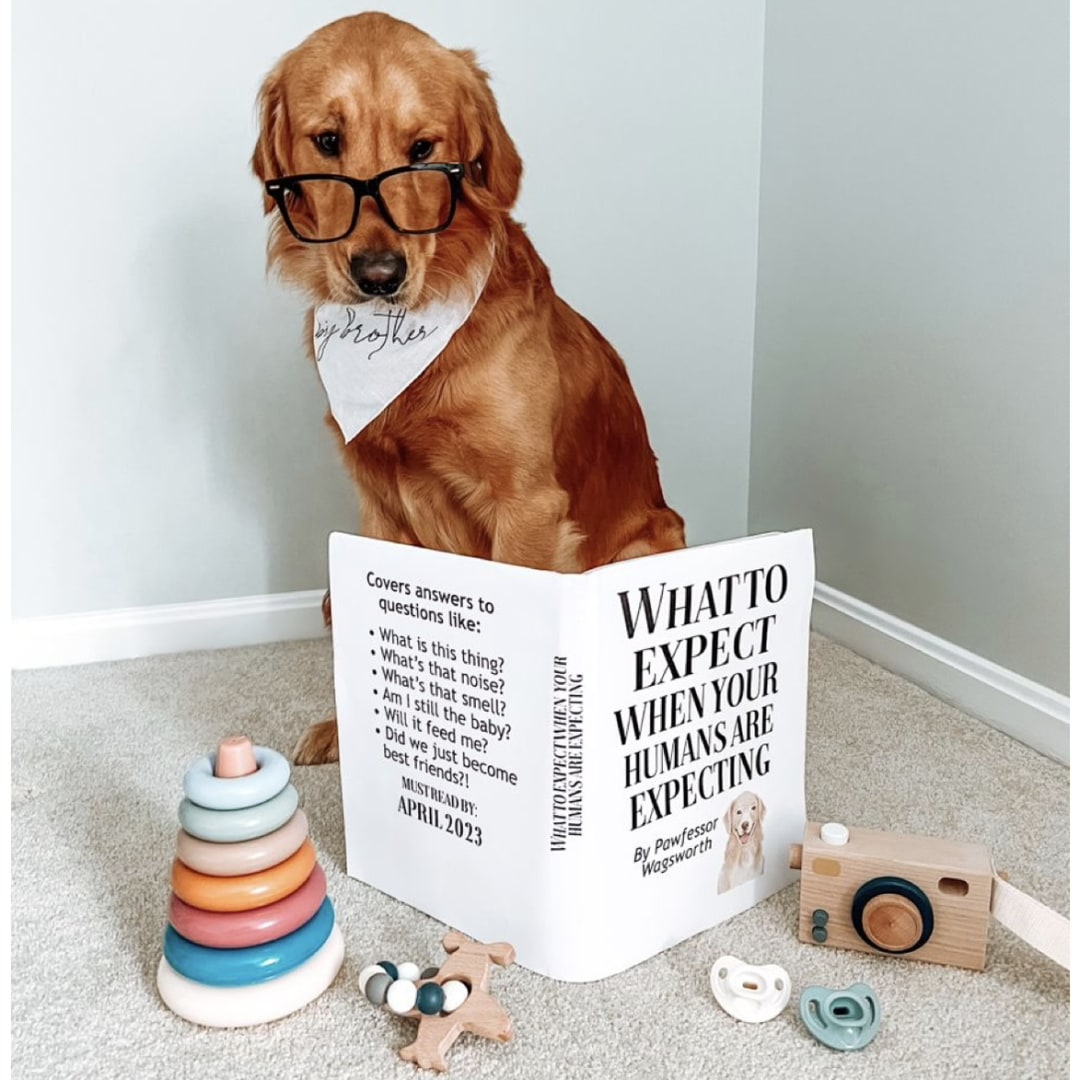 Photo shared by Bri for their Babylist baby registry.