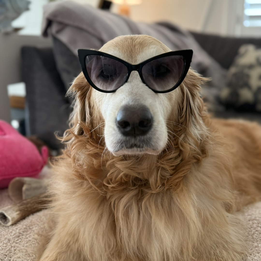 Photo shared by Ashlie for their Babylist baby registry.