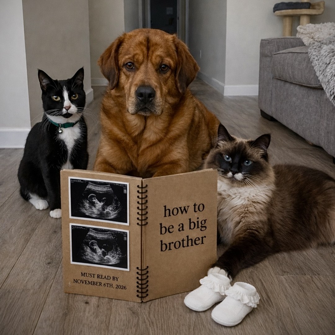 Photo shared by Jamie for their Babylist baby registry.