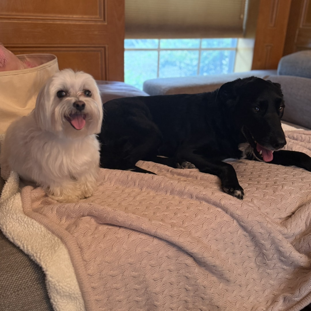 Photo shared by Ally for their Babylist baby registry.