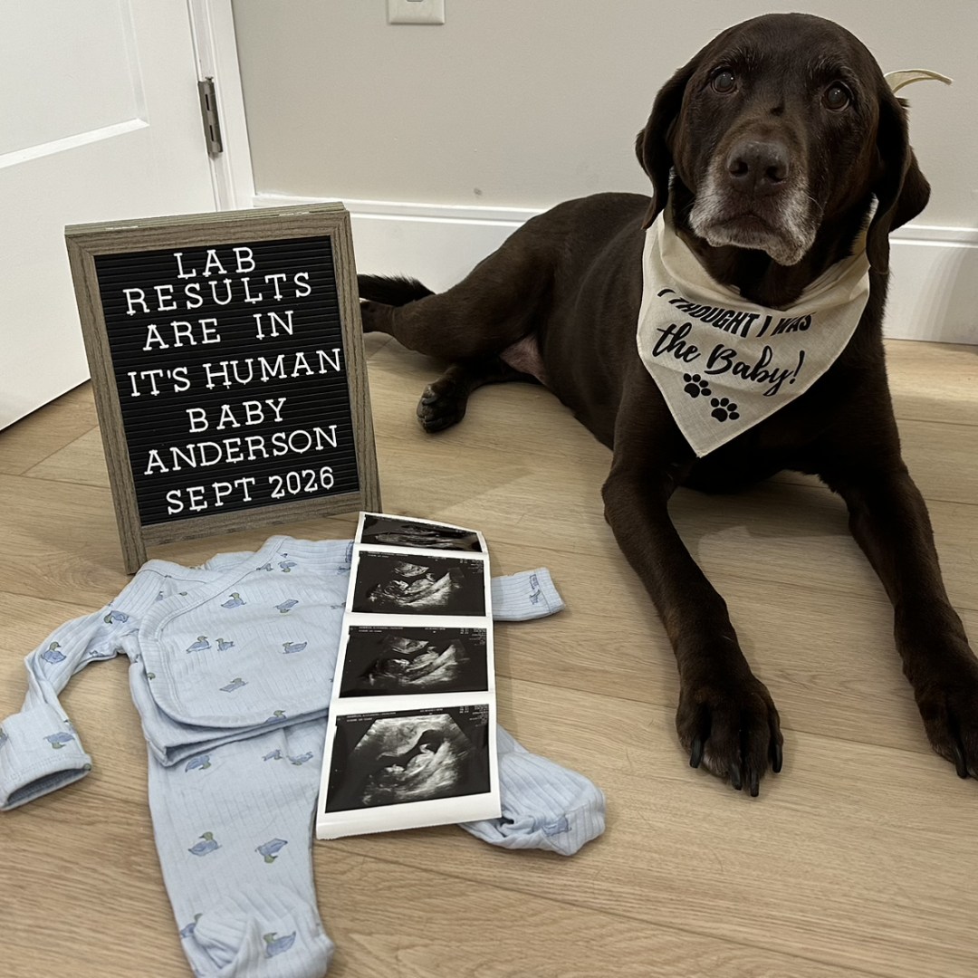 Photo shared by Alexsandra for their Babylist baby registry.