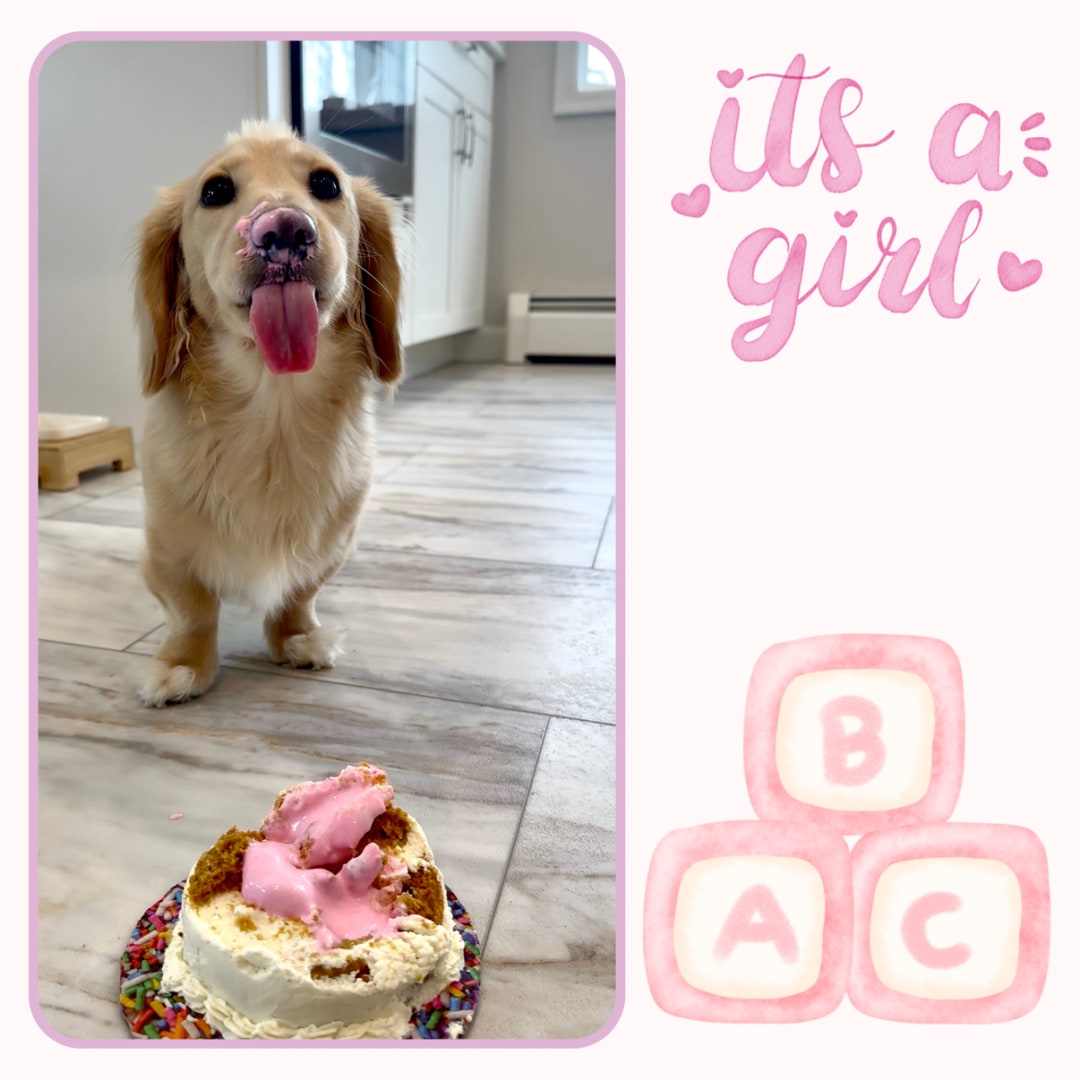 Photo shared by Angela for their Babylist baby registry.