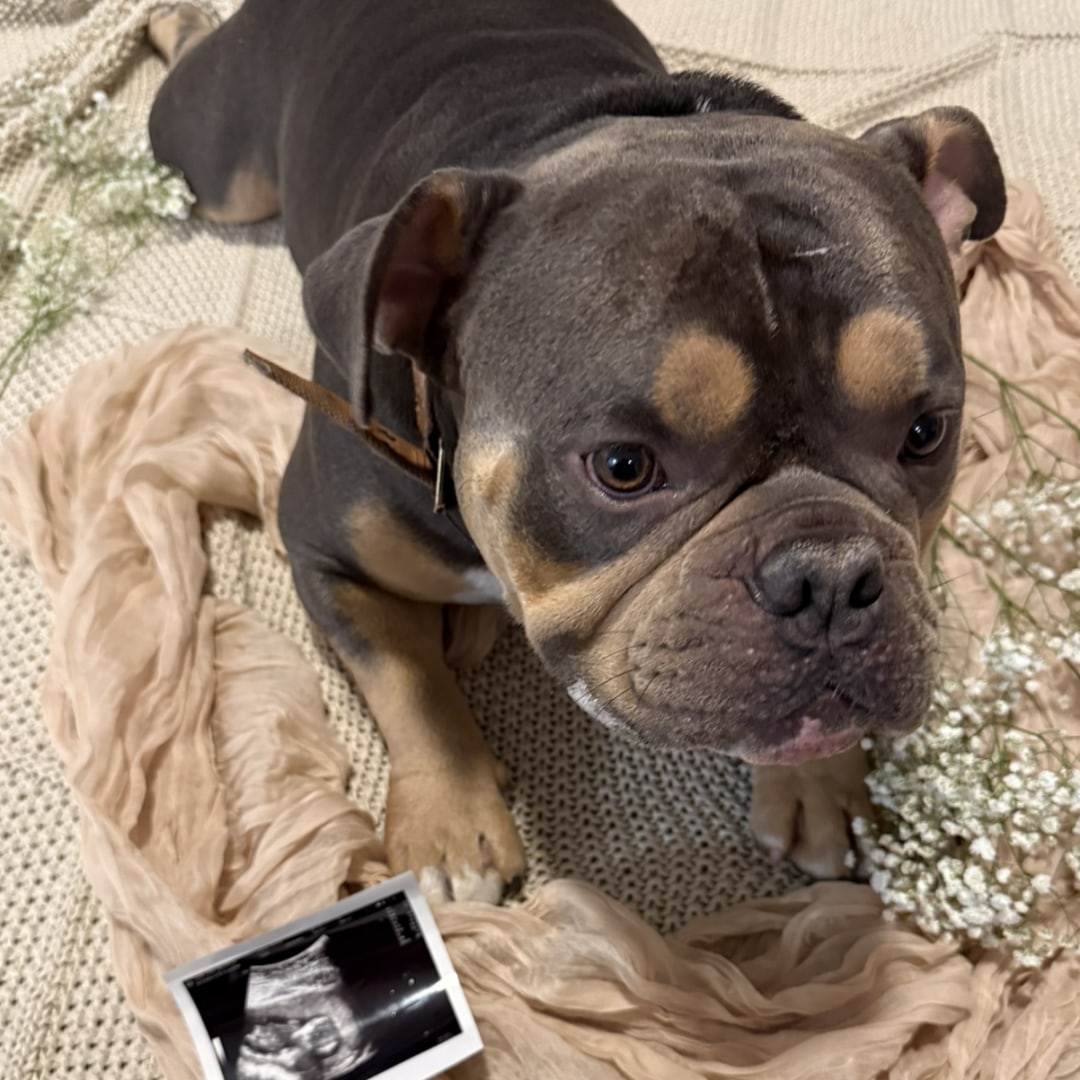 Photo shared by Olivia for their Babylist baby registry.