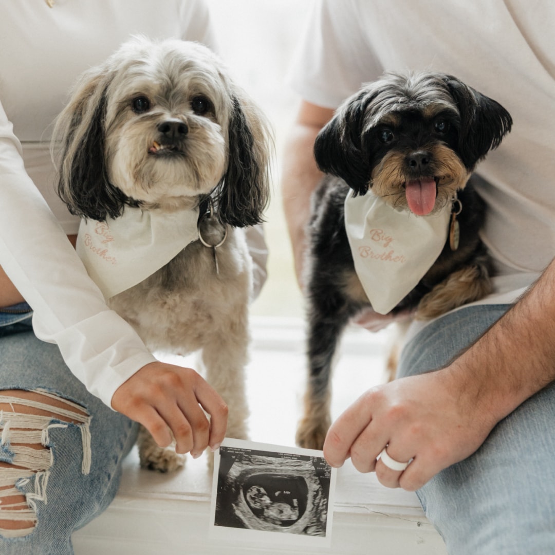 Photo shared by Hayley for their Babylist baby registry.