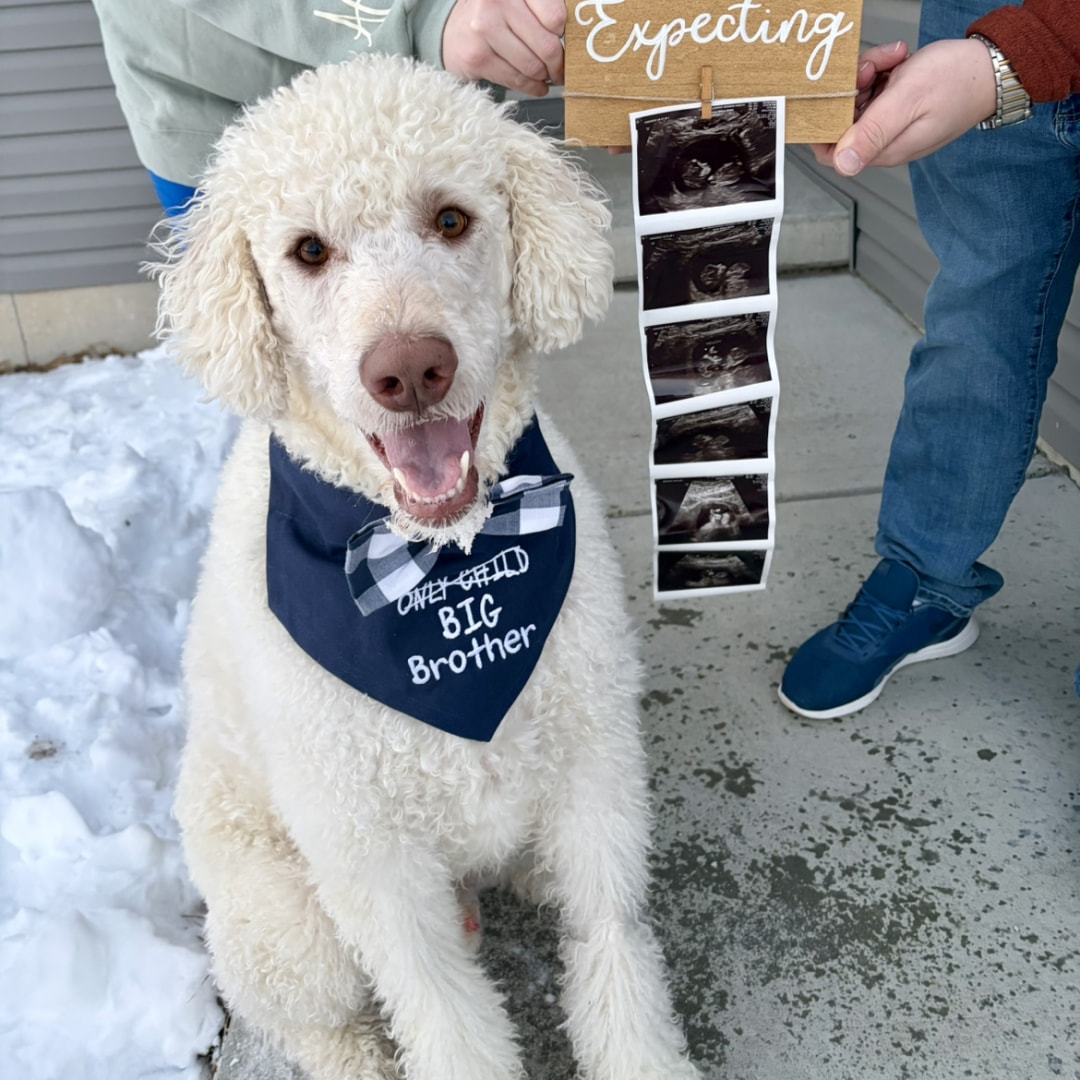 Photo shared by Abby for their Babylist baby registry.