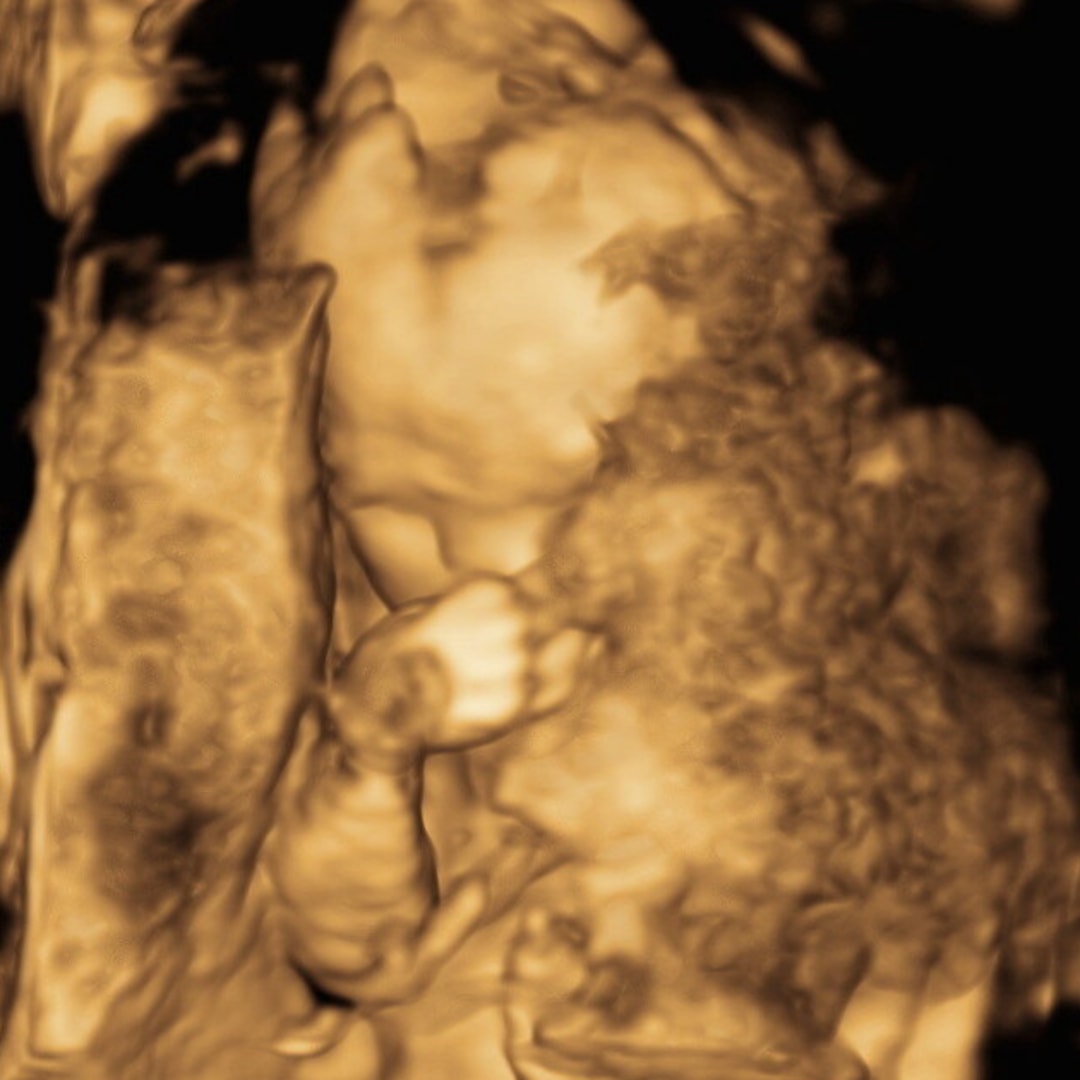 Photo shared by Colleen & for their Babylist baby registry.