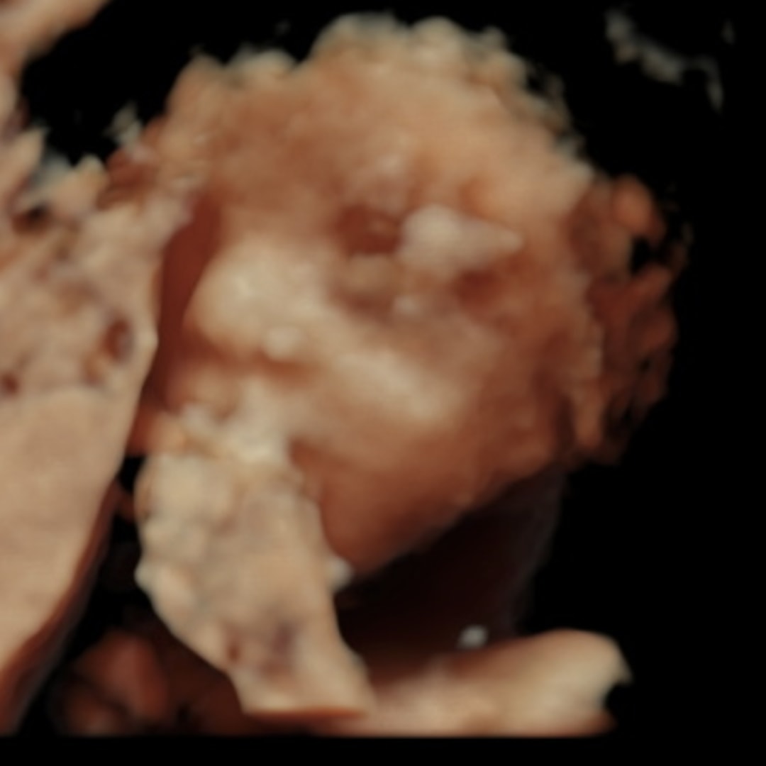 Photo shared by Hayley for their Babylist baby registry.