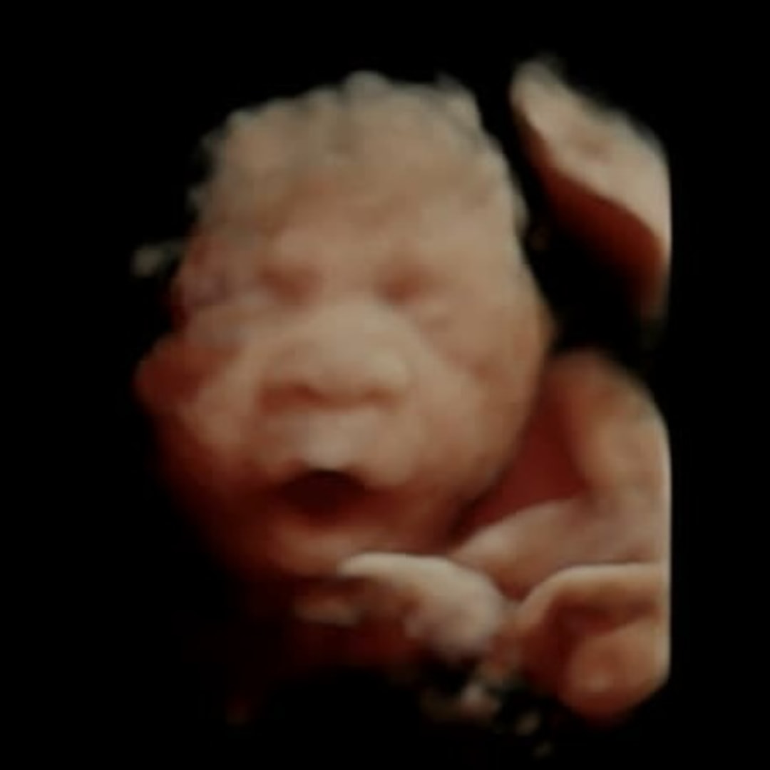 Photo shared by Sabrina for their Babylist baby registry.