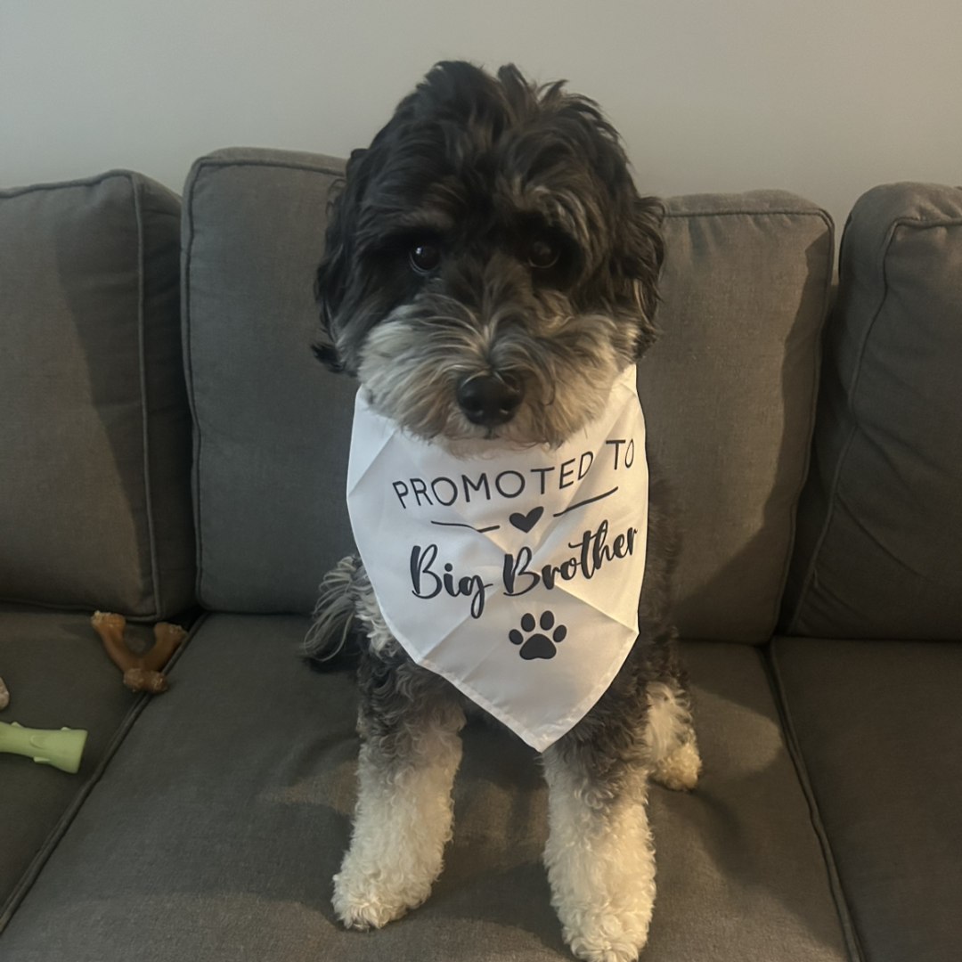 Photo shared by Shannon for their Babylist baby registry.