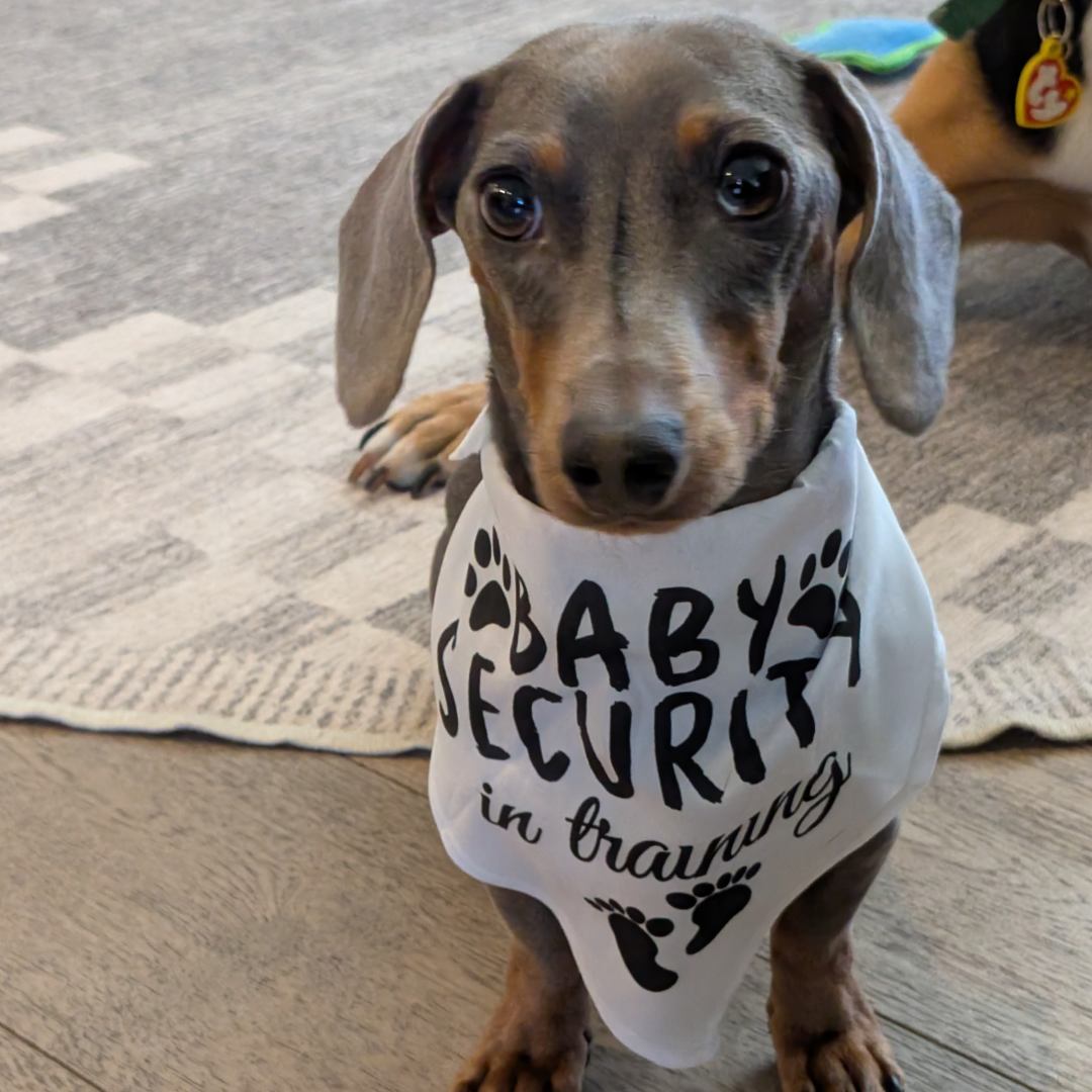 Photo shared by Katherine for their Babylist baby registry.