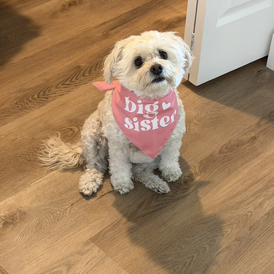 Photo shared by Andrea for their Babylist baby registry.