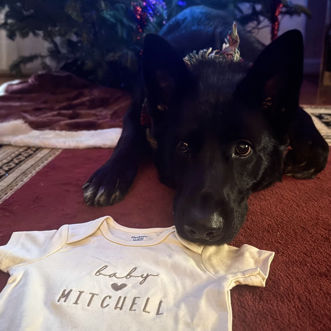 Photo shared by Maryana for their Babylist baby registry.