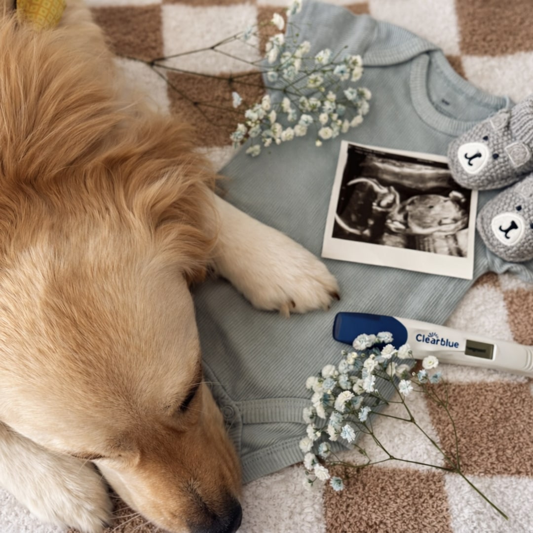 Photo shared by Charlee for their Babylist baby registry.