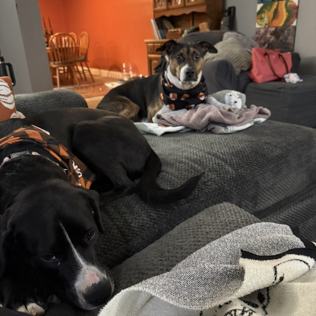 Photo shared by Anne for their Babylist baby registry.