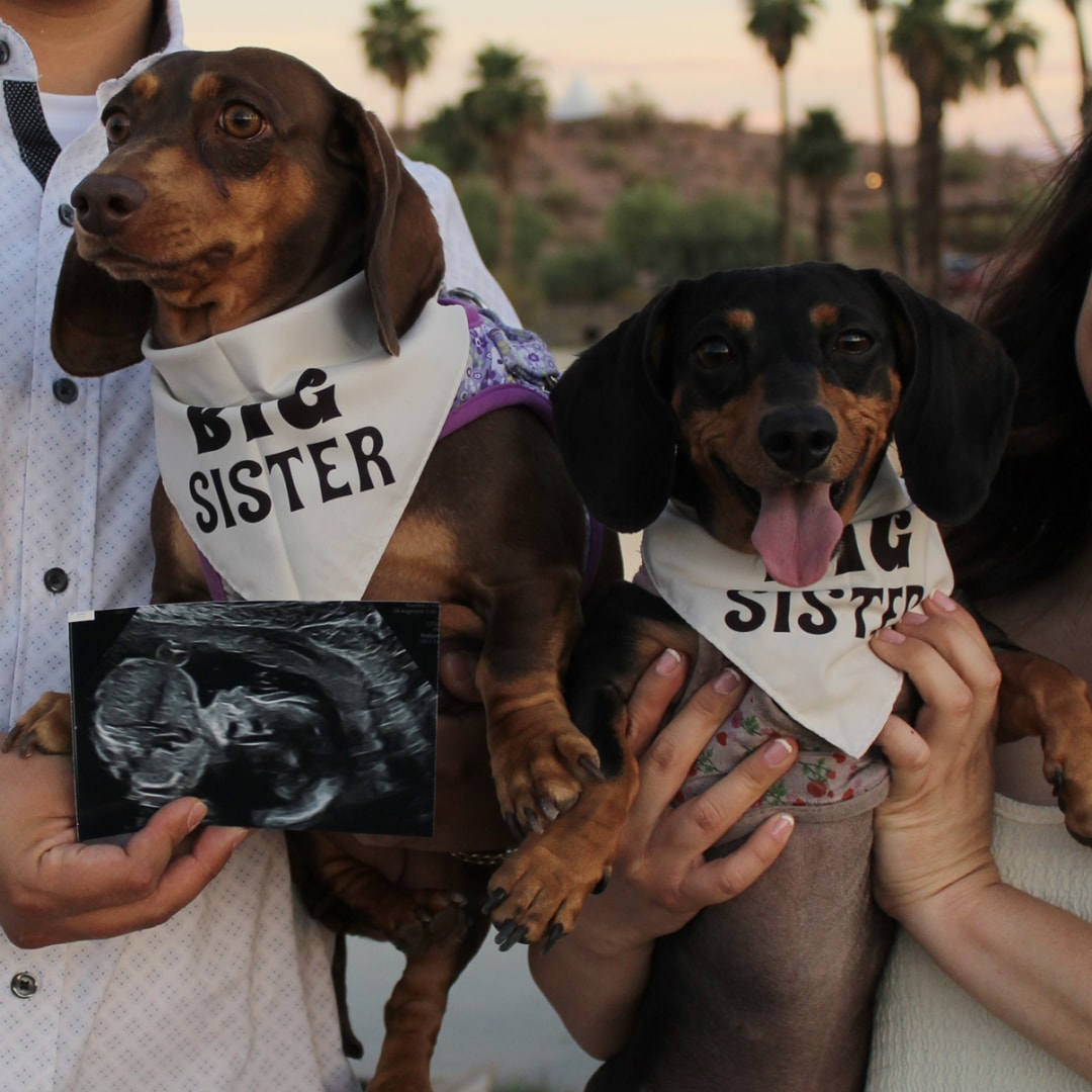 Photo shared by Lili for their Babylist baby registry.