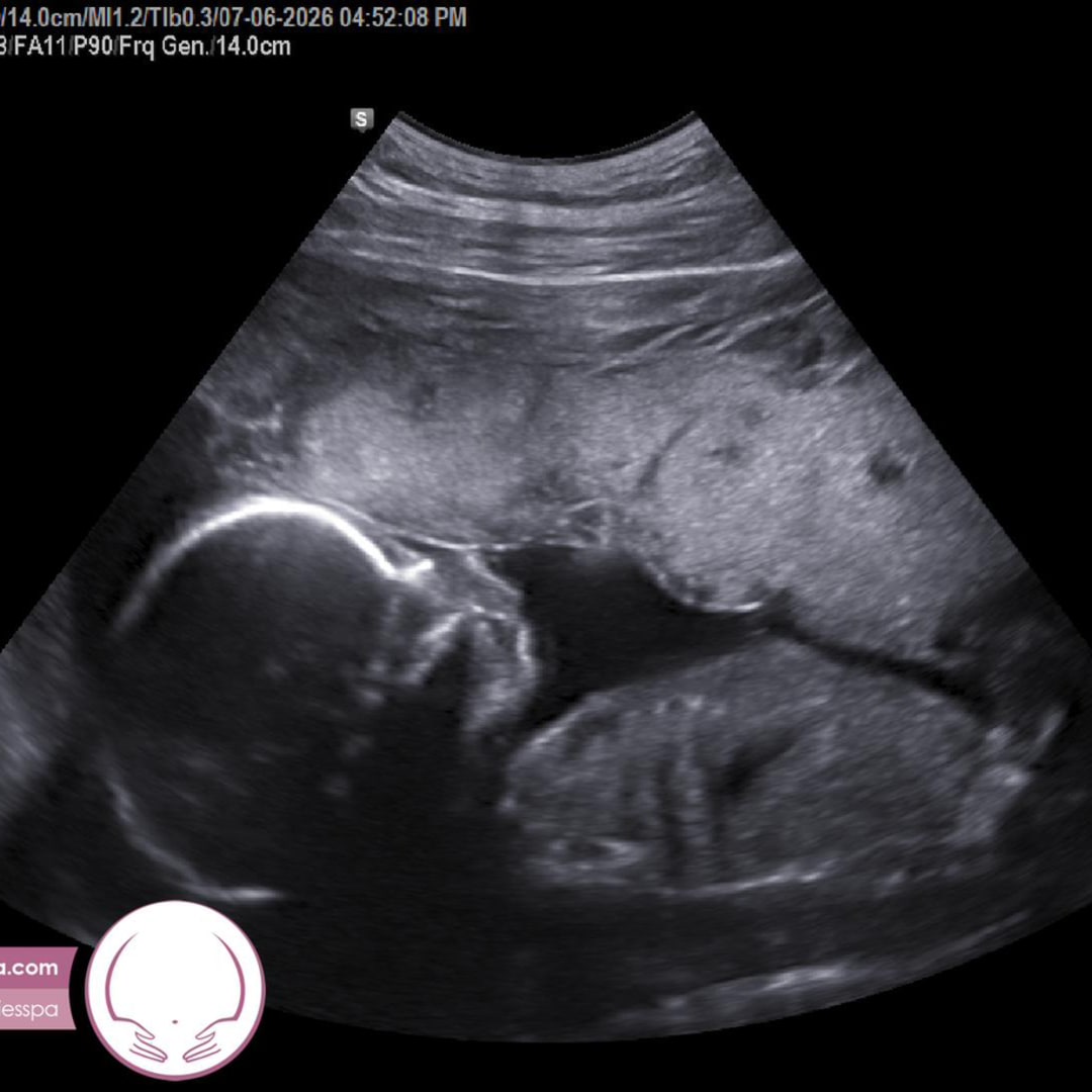 Photo shared by William & Christopher for their Babylist baby registry.