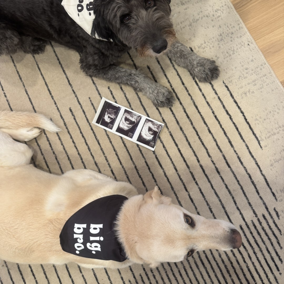 Photo shared by Erica for their Babylist baby registry.