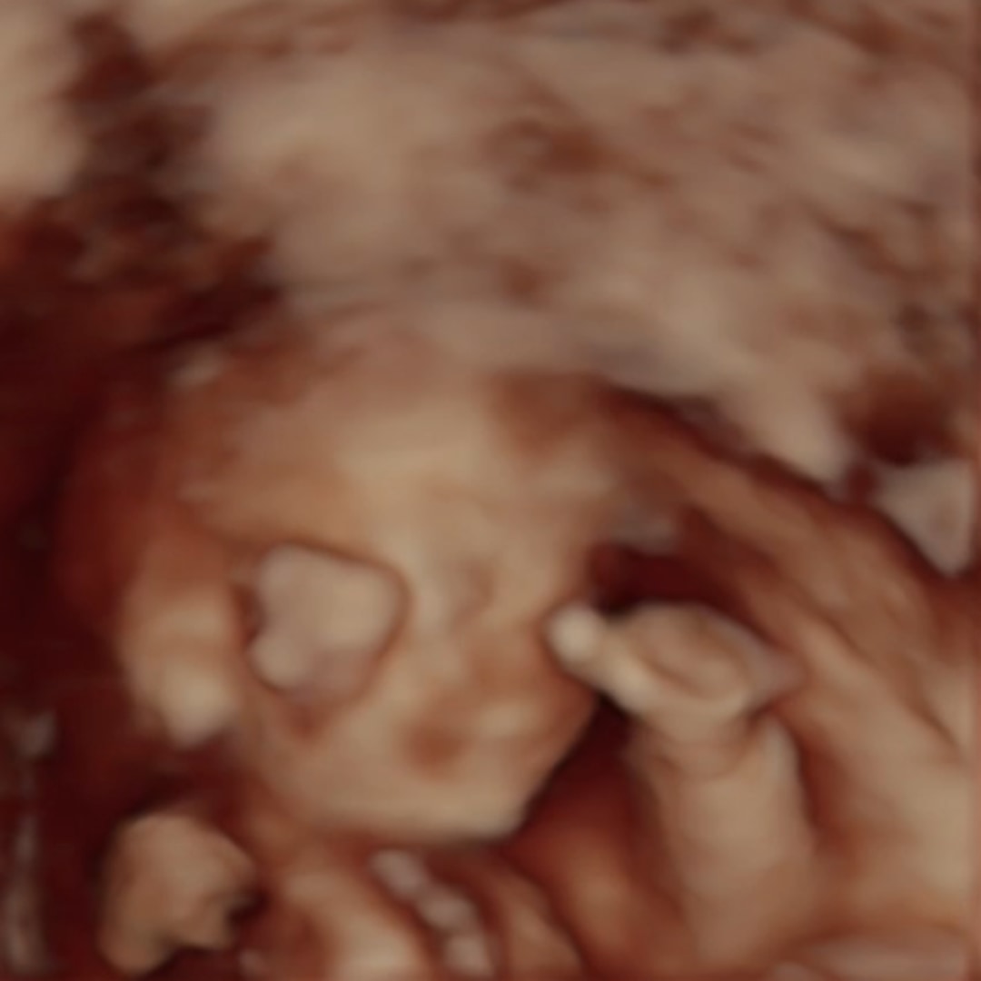 Photo shared by Gina for their Babylist baby registry.