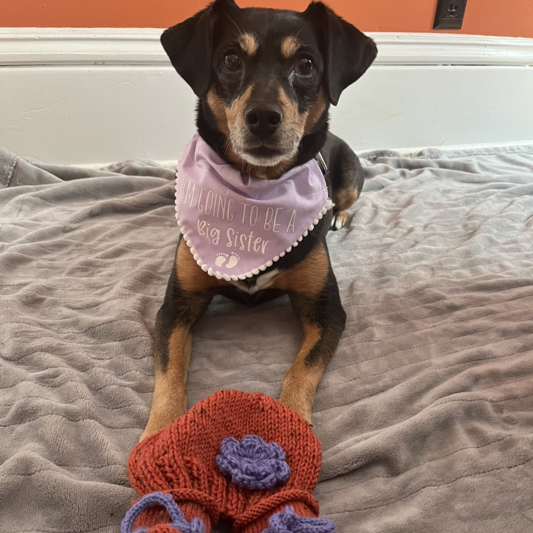 Photo shared by Bobbi Jo for their Babylist baby registry.