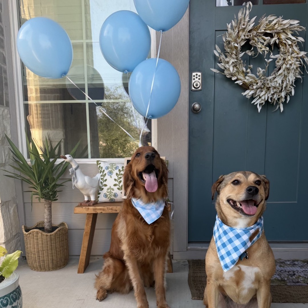 Photo shared by Brittany for their Babylist baby registry.