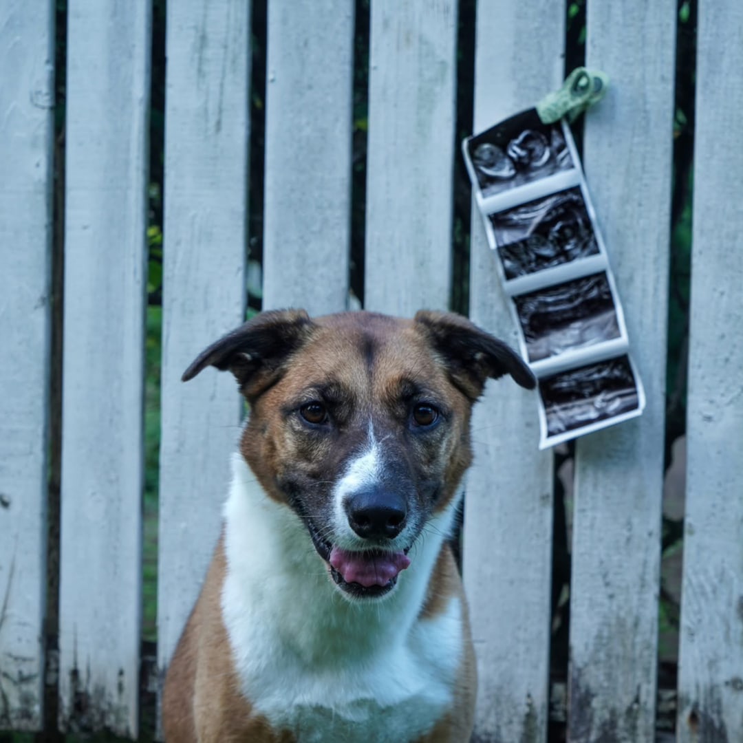 Photo shared by Allie for their Babylist baby registry.