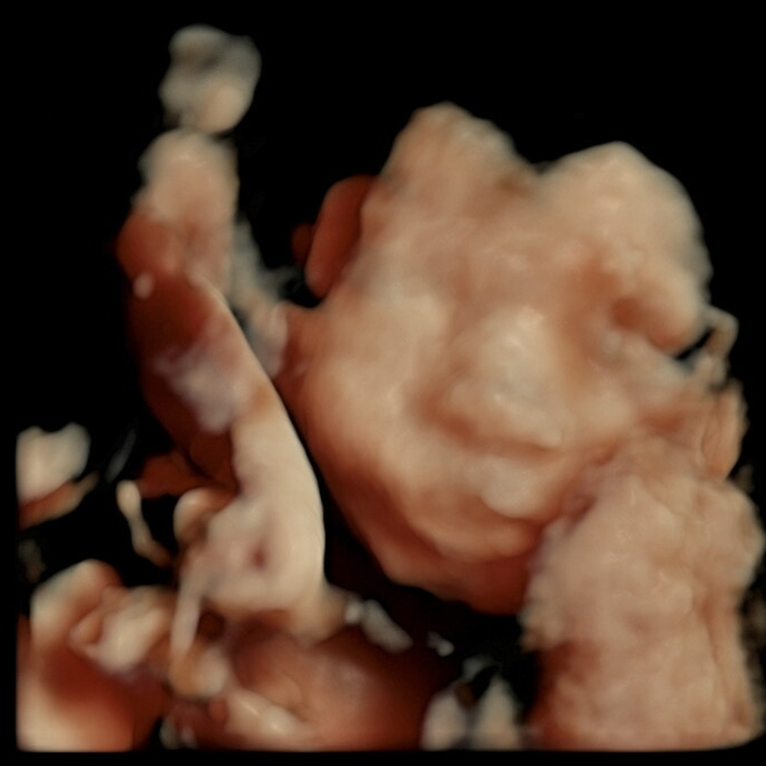 Photo shared by Larisa for their Babylist baby registry.