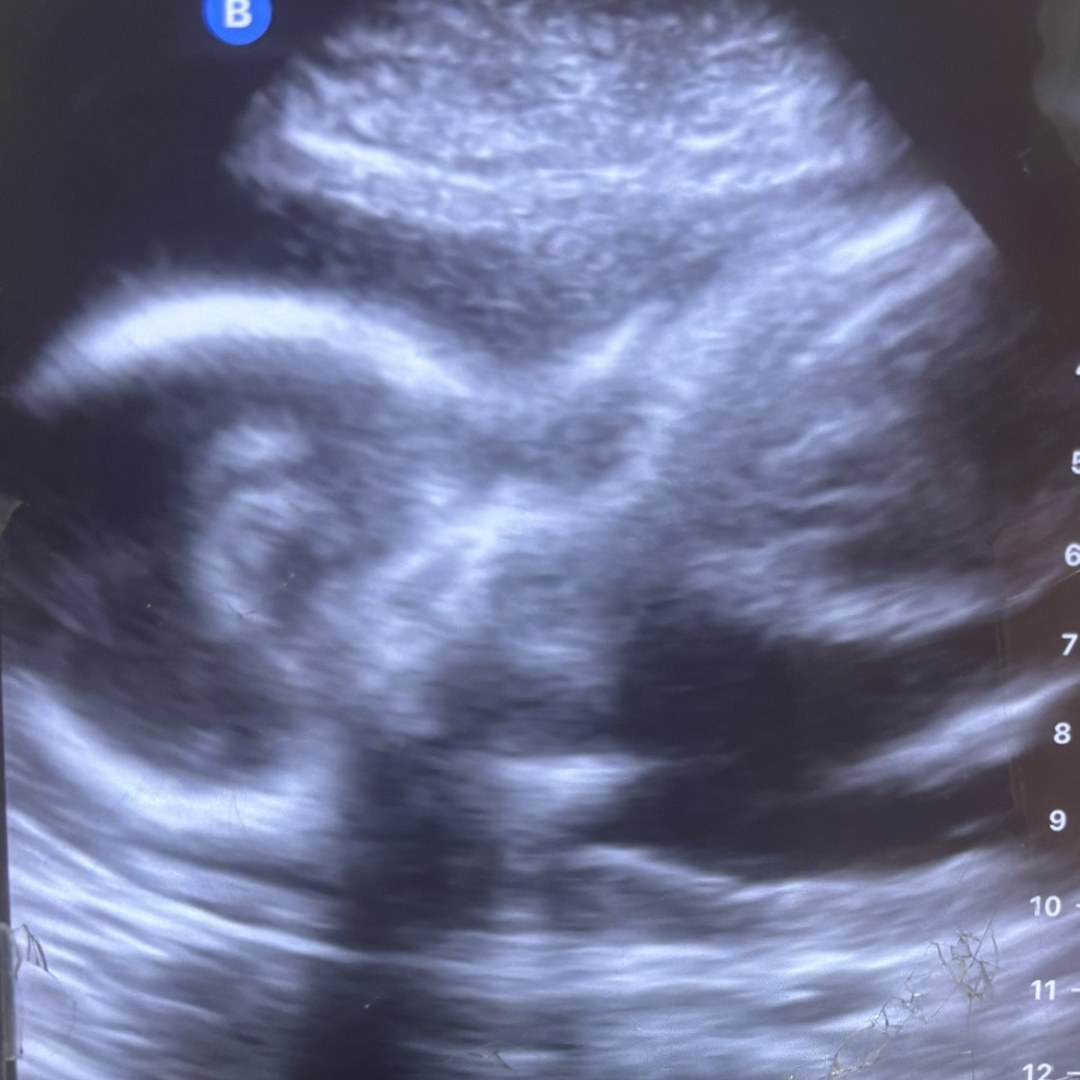 Photo shared by Veronica for their Babylist baby registry.