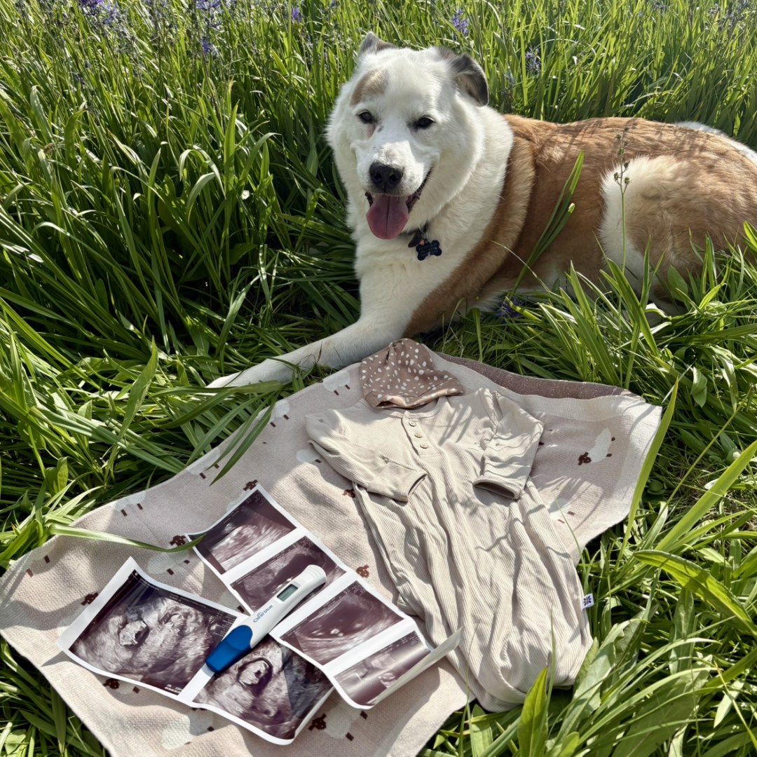 Photo shared by Alli for their Babylist baby registry.