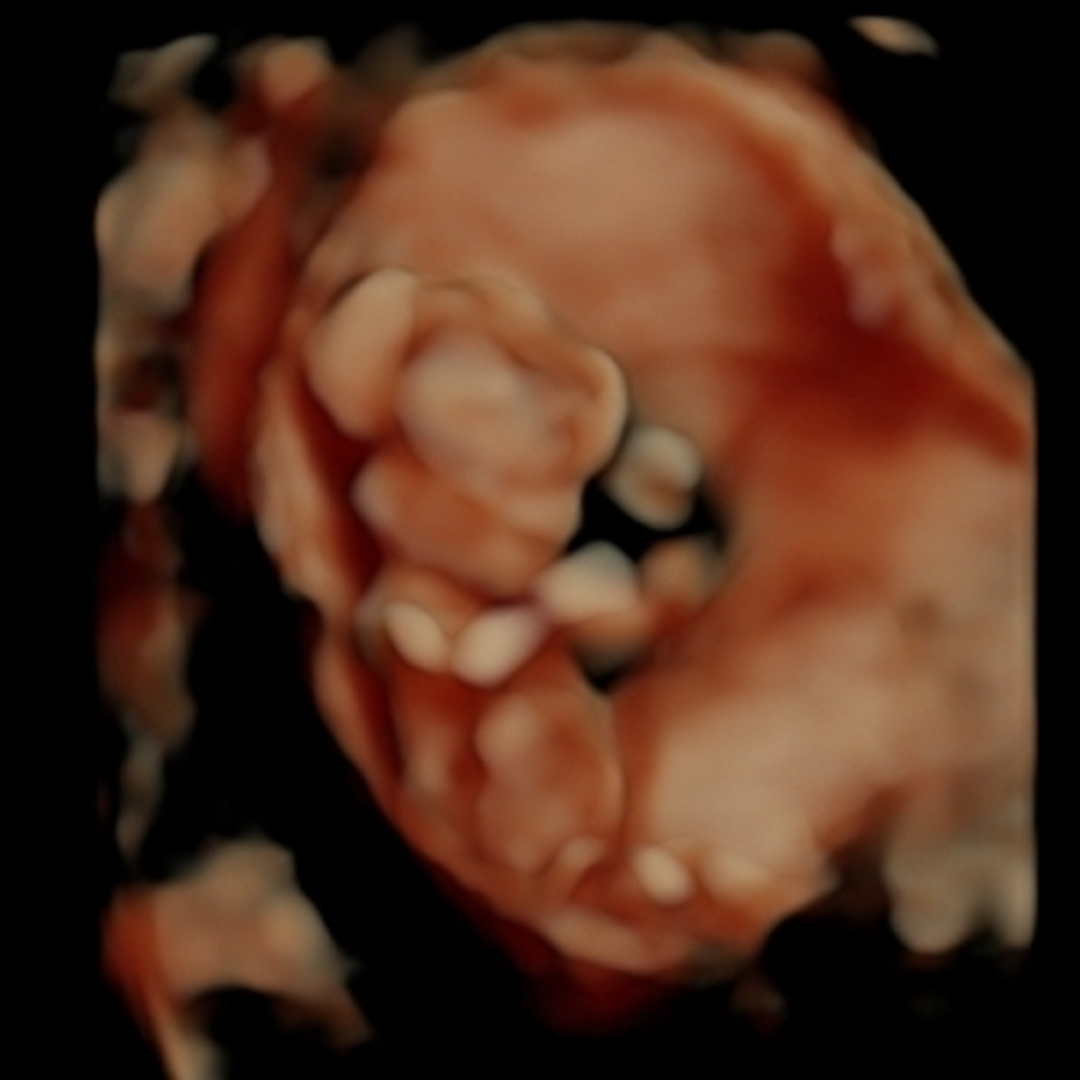 Photo shared by Ashley & Lloyd for their Babylist baby registry.