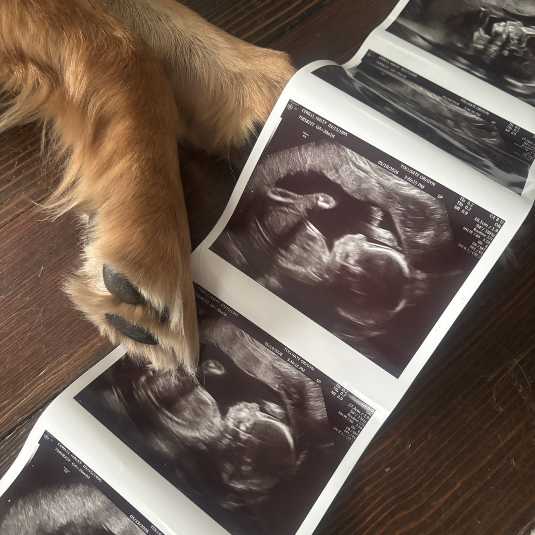 Photo shared by Haley for their Babylist baby registry.