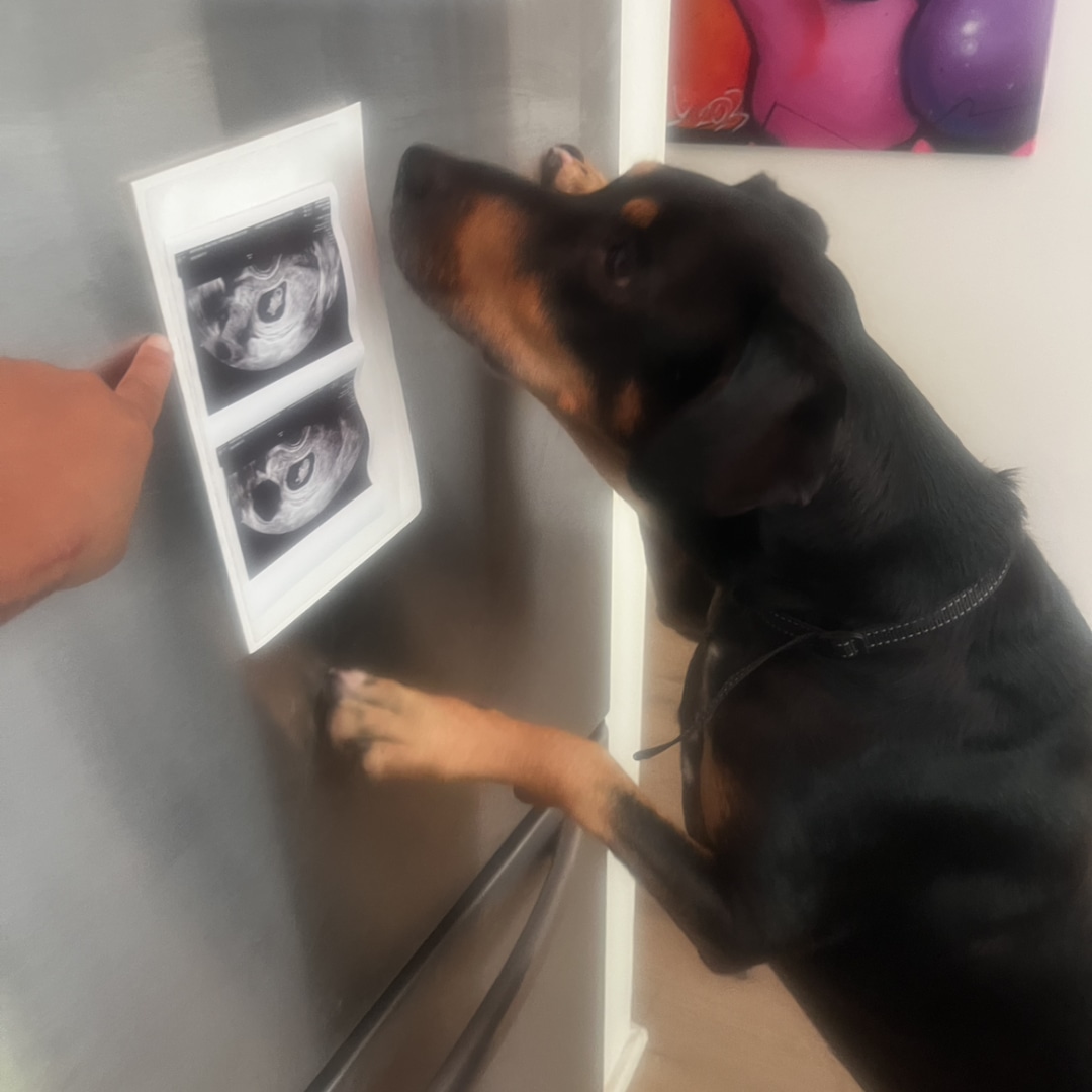 Photo shared by Raechel for their Babylist baby registry.