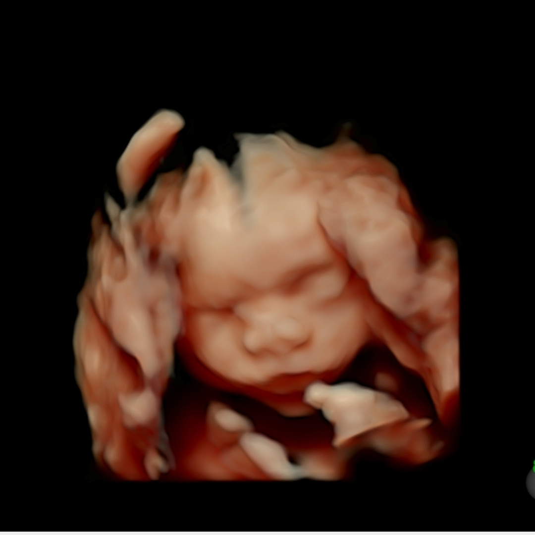 Photo shared by Cylah for their Babylist baby registry.