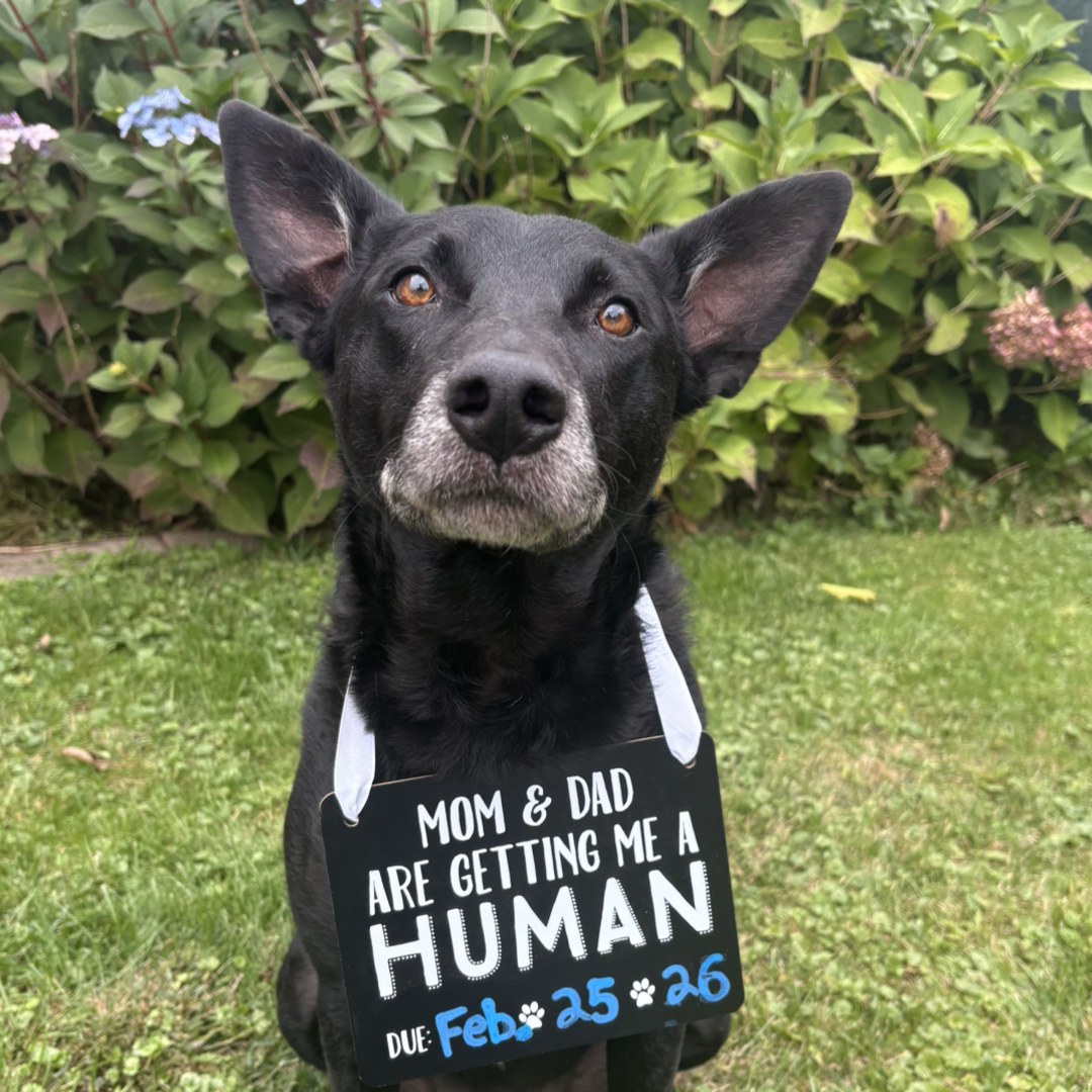 Photo shared by Arianna for their Babylist baby registry.