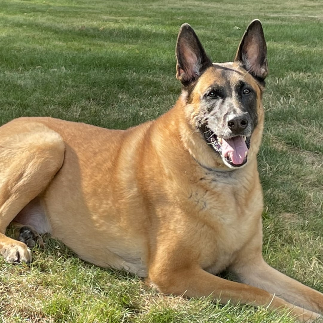 Photo shared by Jessica for their Babylist baby registry.