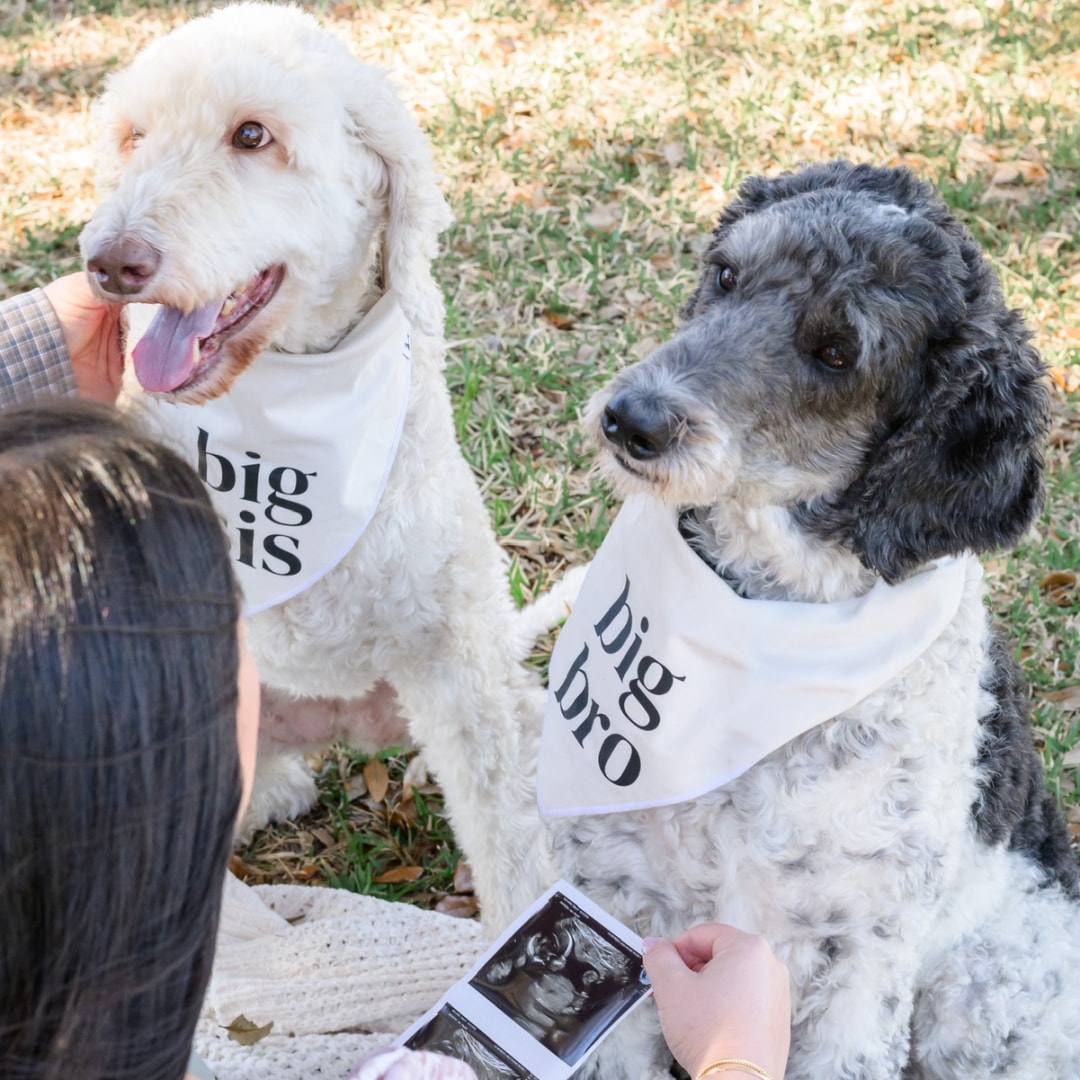 Photo shared by Haley for their Babylist baby registry.