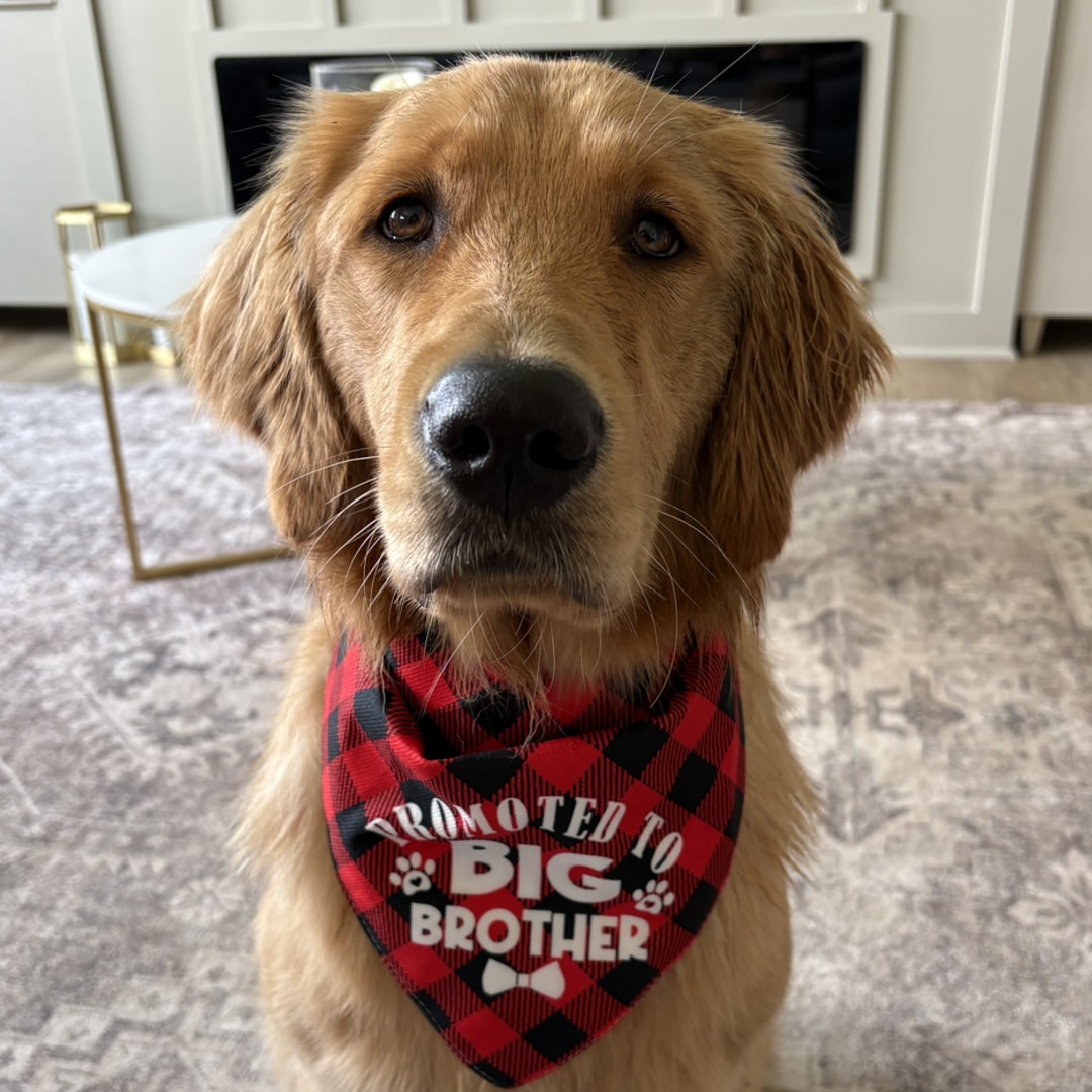 Photo shared by Emi for their Babylist baby registry.