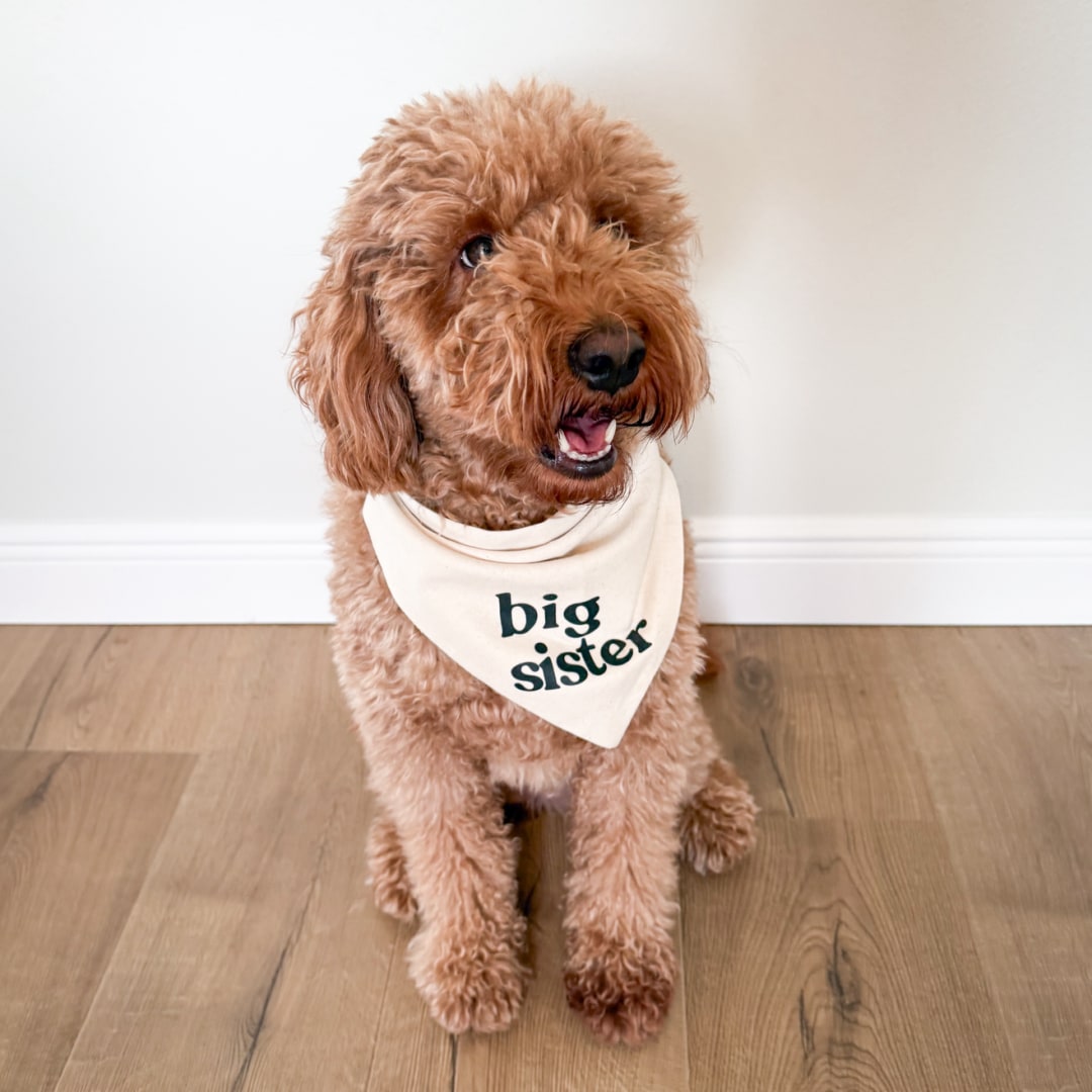 Photo shared by Emily for their Babylist baby registry.