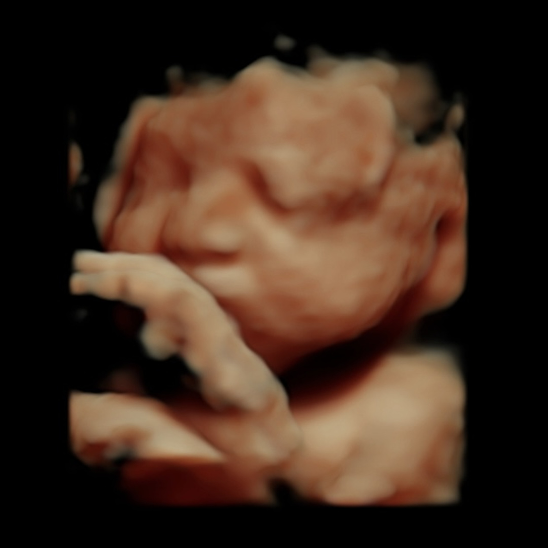 Photo shared by Camree for their Babylist baby registry.