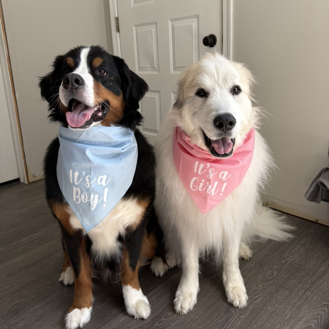 Photo shared by Lindsay for their Babylist baby registry.