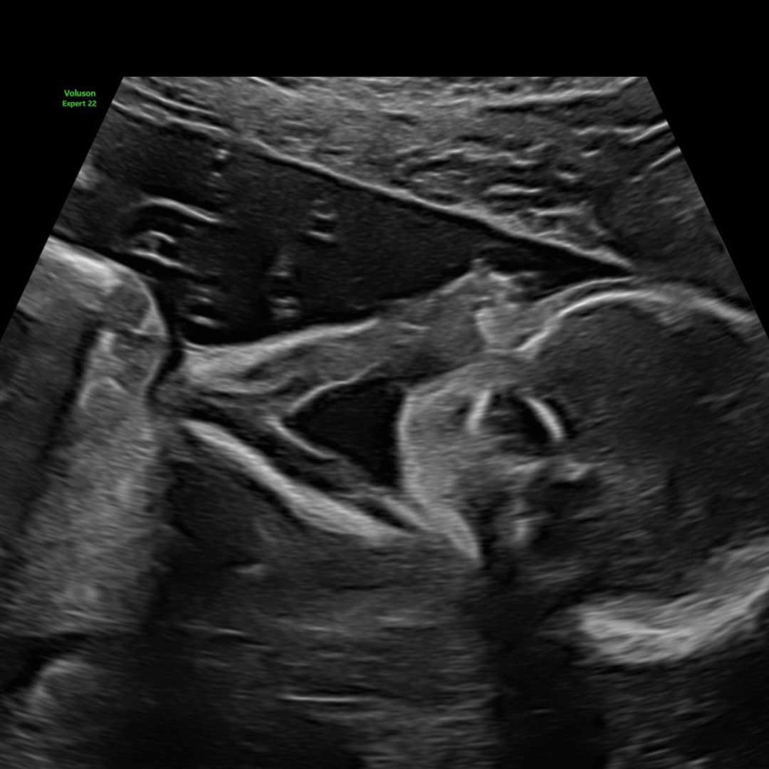 Photo shared by Jose for their Babylist baby registry.