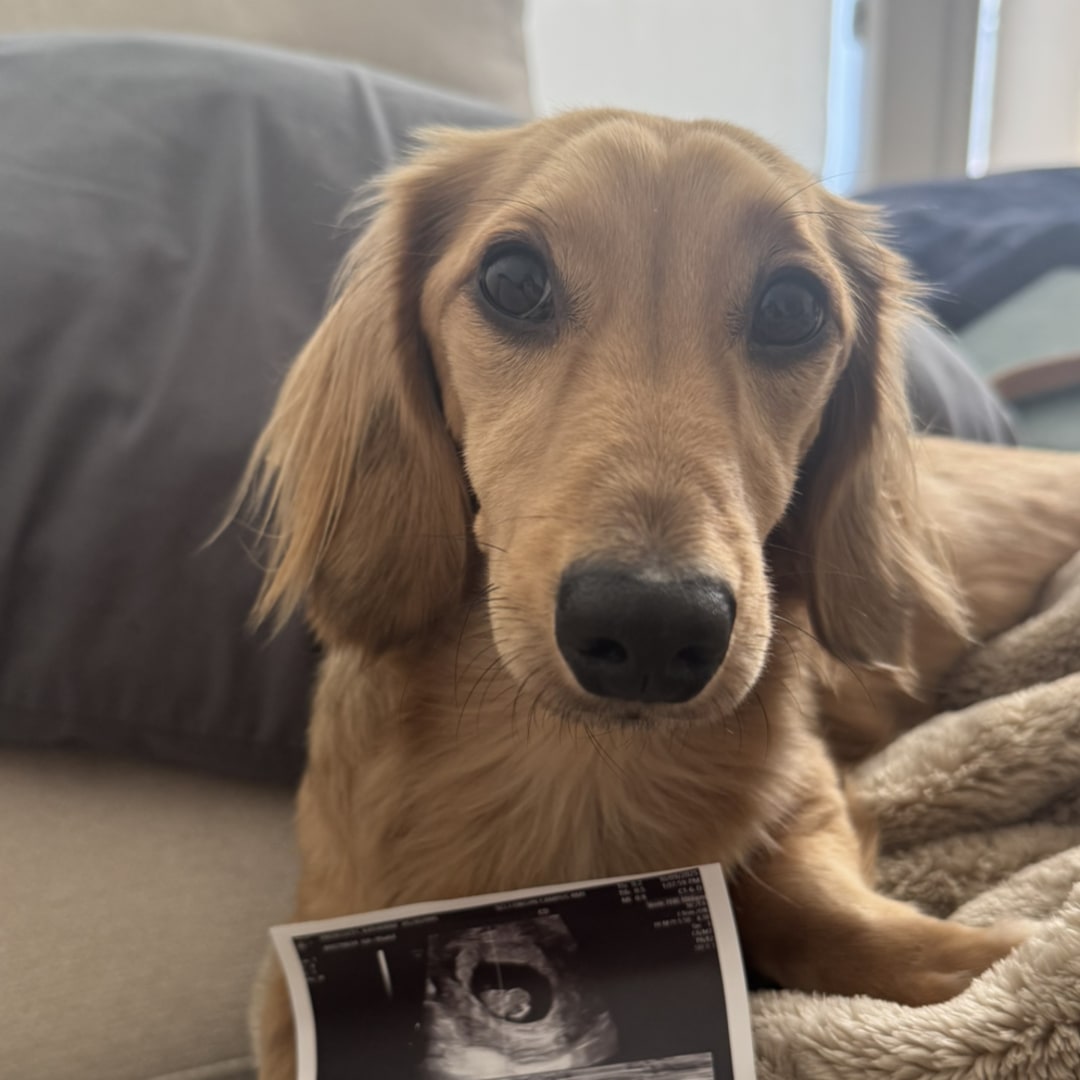 Photo shared by Katherine for their Babylist baby registry.