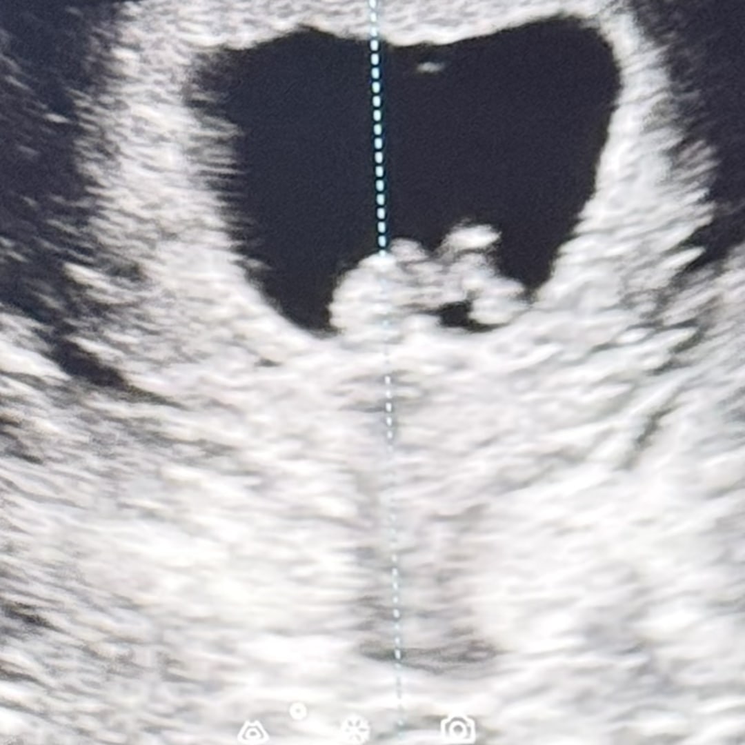 Photo shared by Adam for their Babylist baby registry.