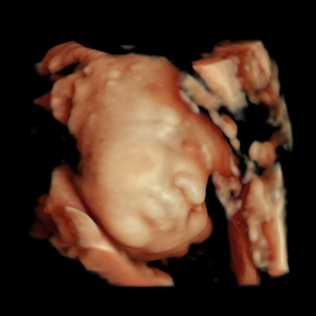 Photo shared by Claudia for their Babylist baby registry.