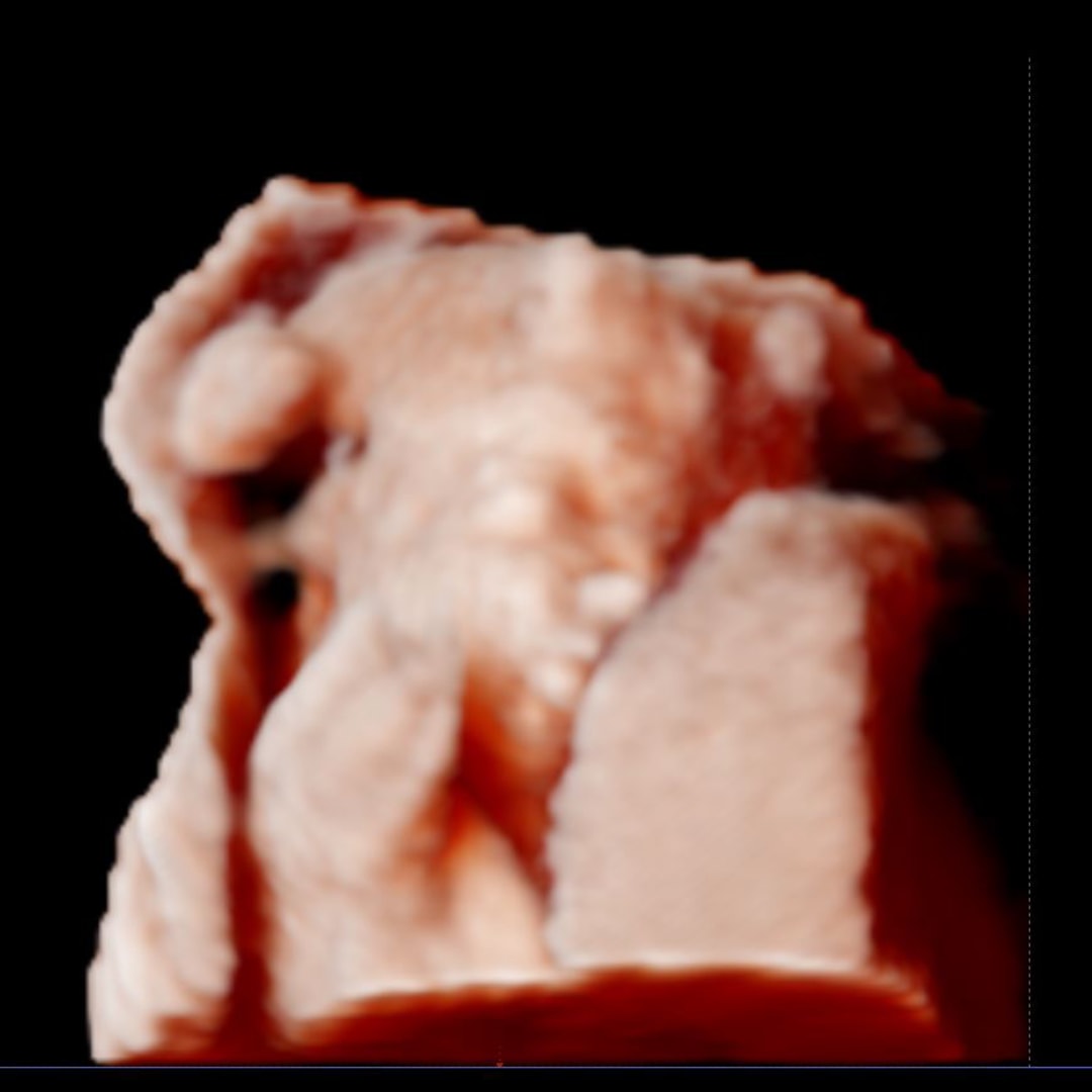 Photo shared by Jade for their Babylist baby registry.