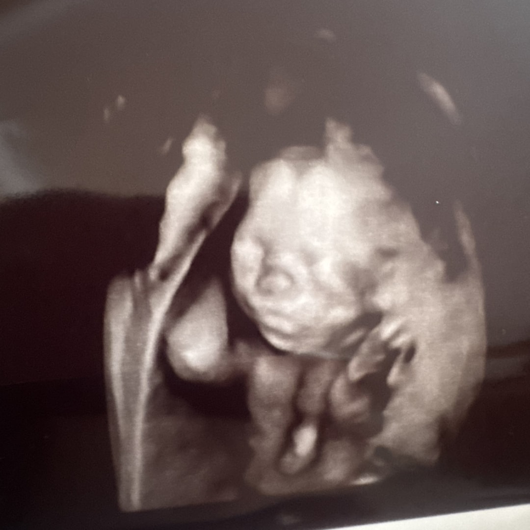 Photo shared by Ashley for their Babylist baby registry.