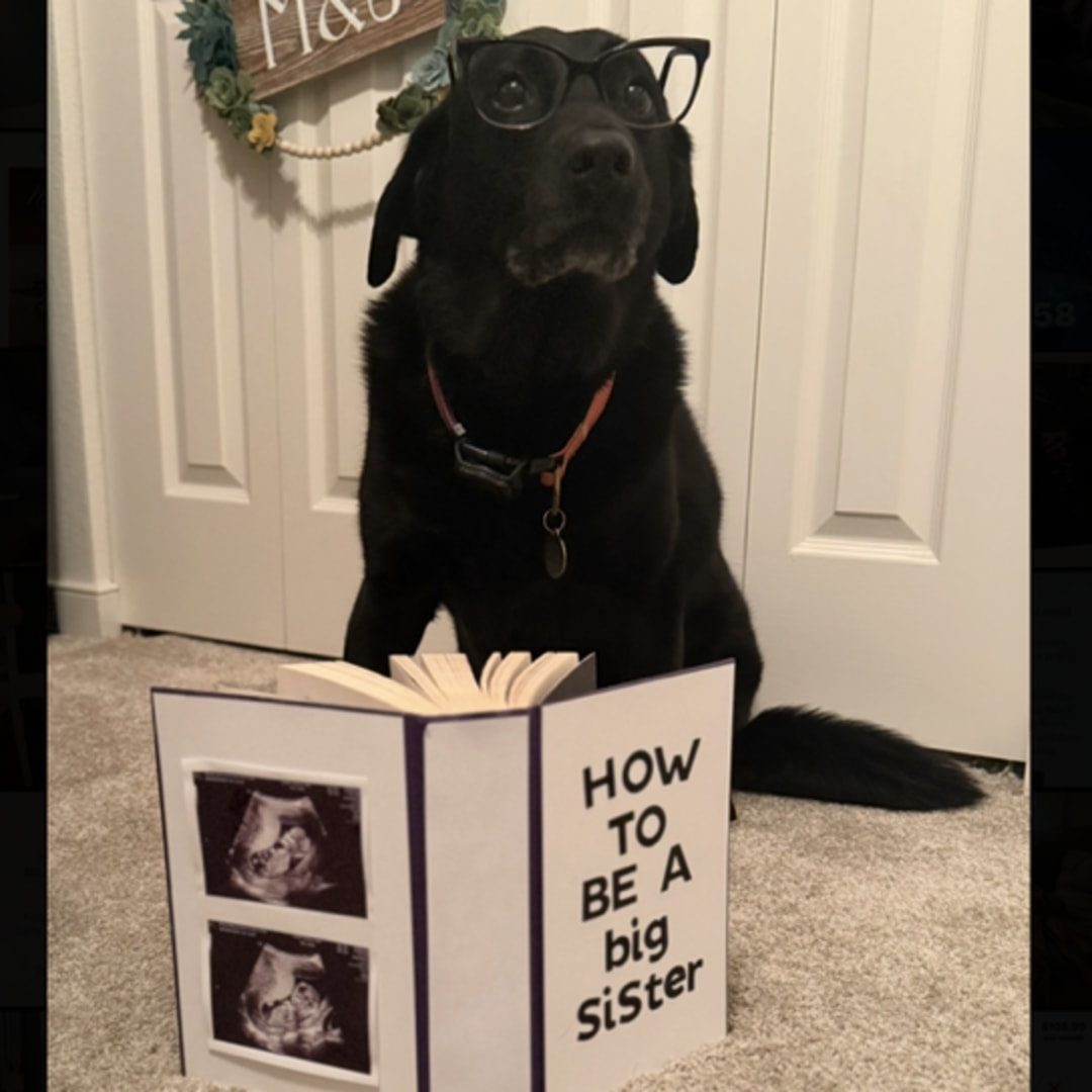 Photo shared by Marisa for their Babylist baby registry.