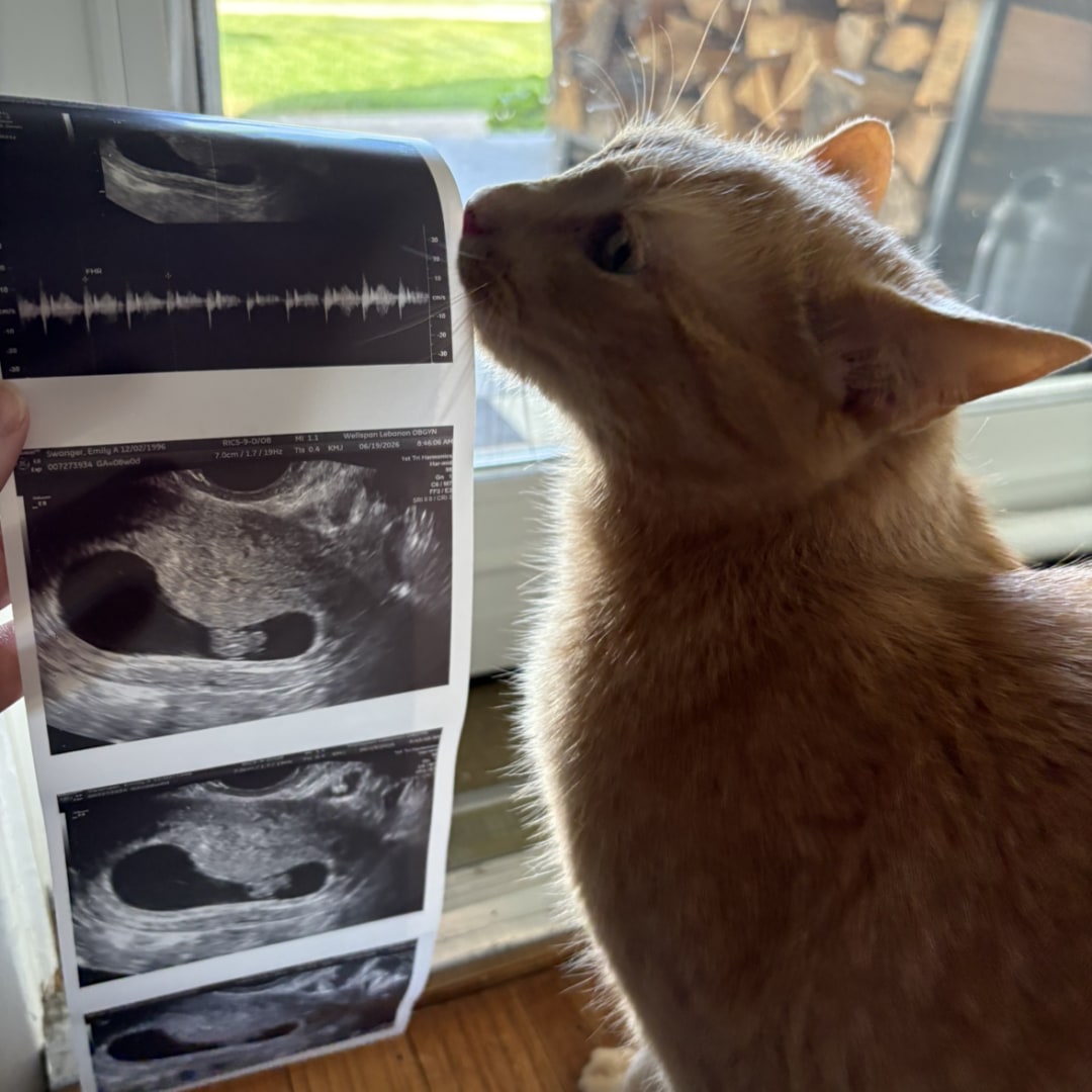 Photo shared by Emily for their Babylist baby registry.