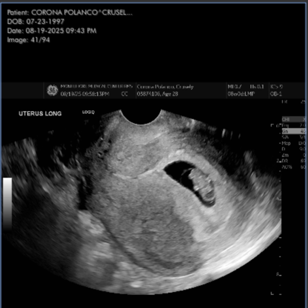 Photo shared by Crusely for their Babylist baby registry.
