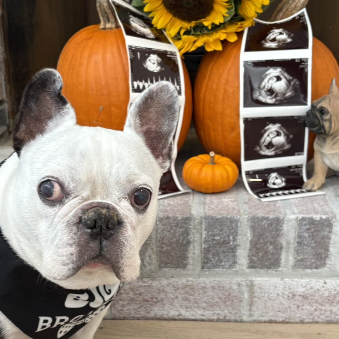 Photo shared by Ava for their Babylist baby registry.