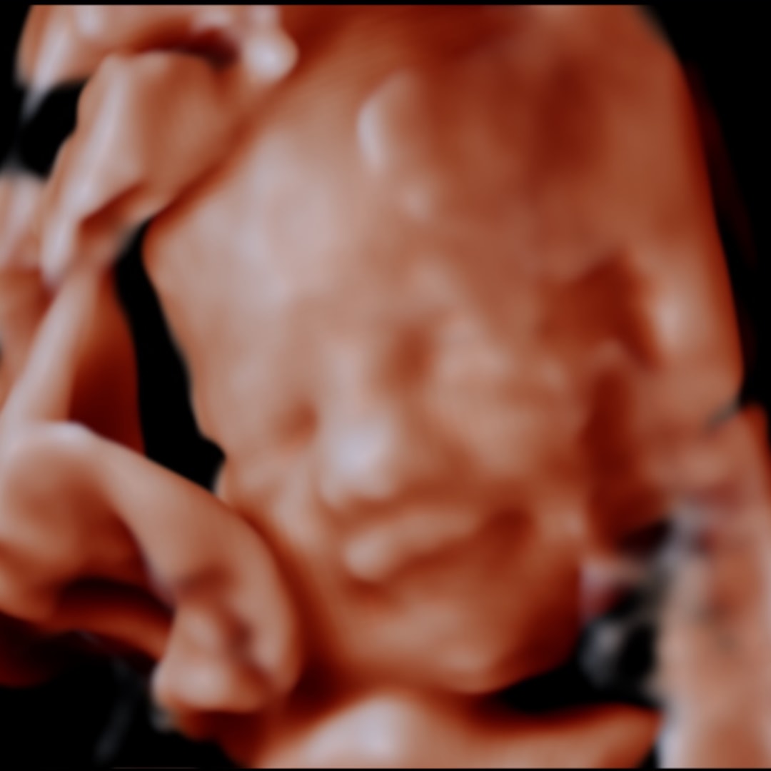 Photo shared by Elma for their Babylist baby registry.